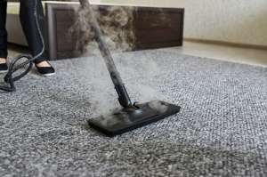 Carpet Wrinkle Repair: Is It Worth Hiring A Professional?