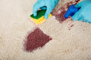 The Top Benefits of Hiring Professional Carpet Burn Repair Services